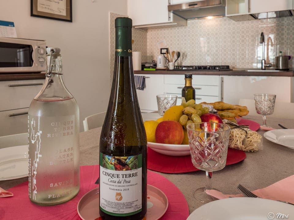 Full-size fridge, microwave, oven, stovetop