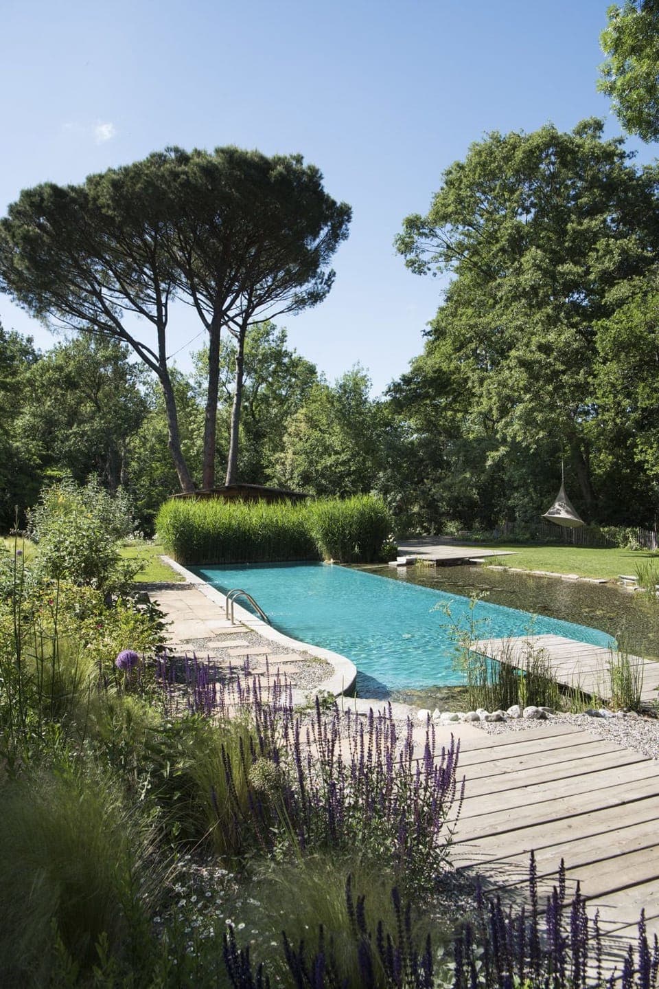Seasonal outdoor pool, sun loungers