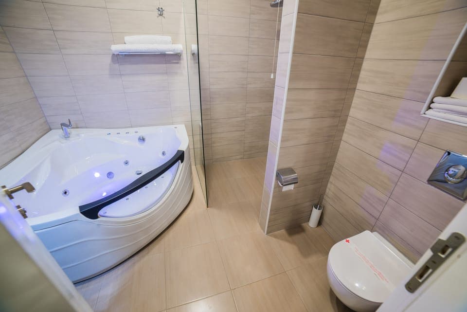 Deluxe Apartment | Bathroom | Shower, hydromassage showerhead, free toiletries, hair dryer