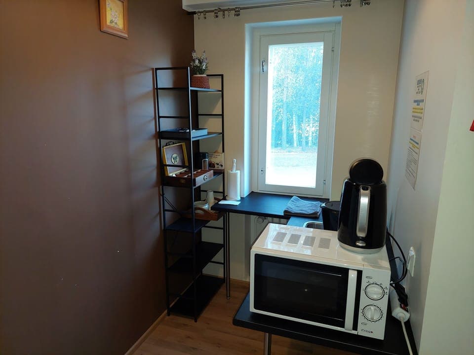 Full-size fridge, microwave, electric kettle