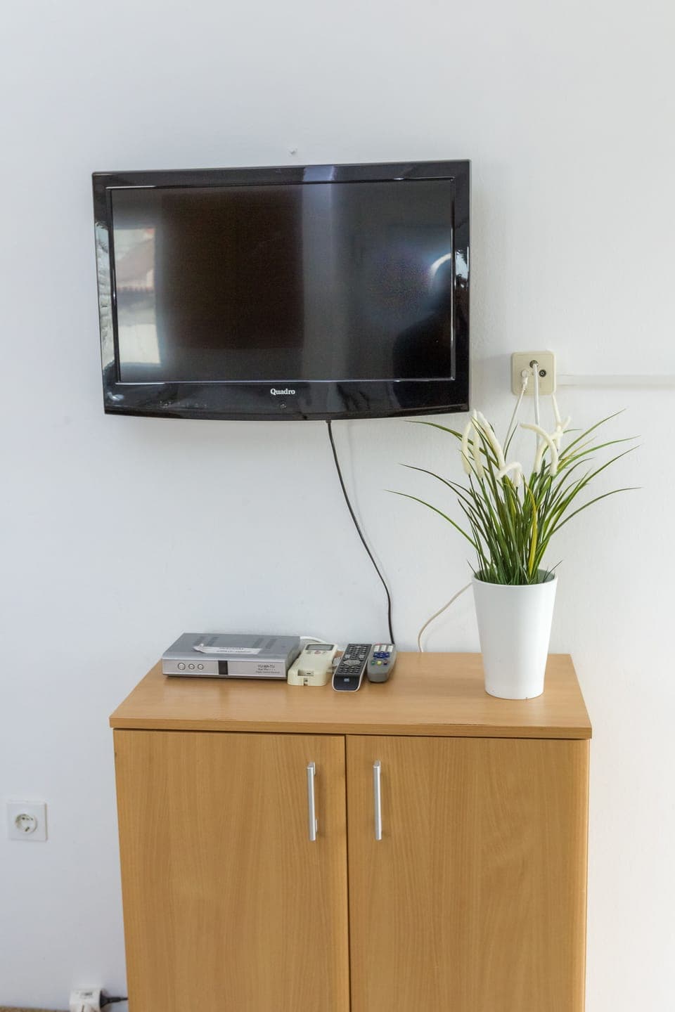 Television