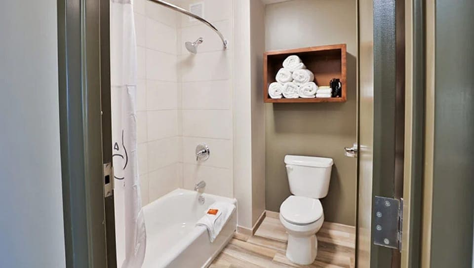 Combined shower/tub, free toiletries, hair dryer, towels