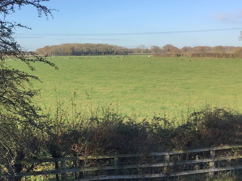 Deluxe Double Room, Ensuite | View from property