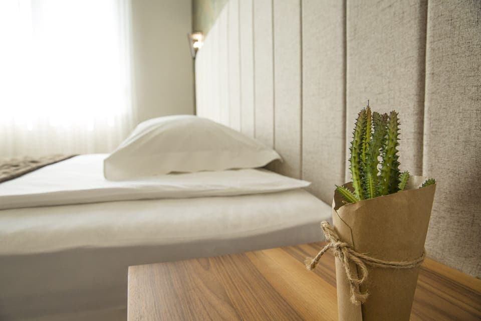 Standard Double or Twin Room | Down comforters, minibar, desk, laptop workspace