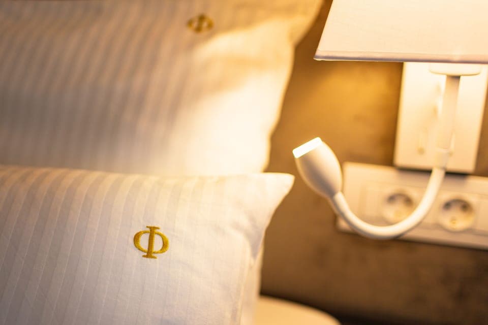 Classic Double Room, 1 Queen Bed, Non Smoking | Room amenity