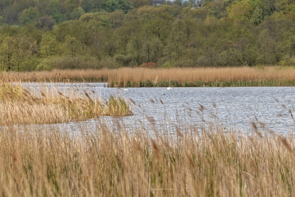 Comfort Apartment, Multiple Beds, Lake View | Garden view