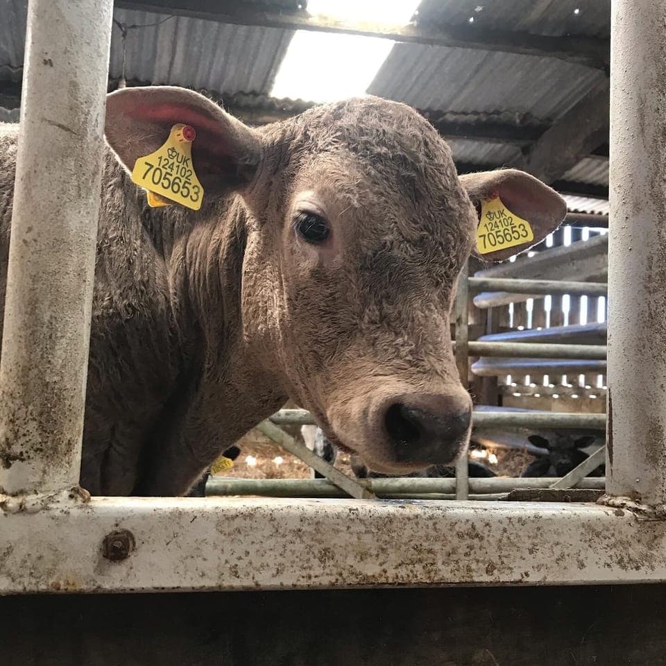 Cabin | Miscellaneous