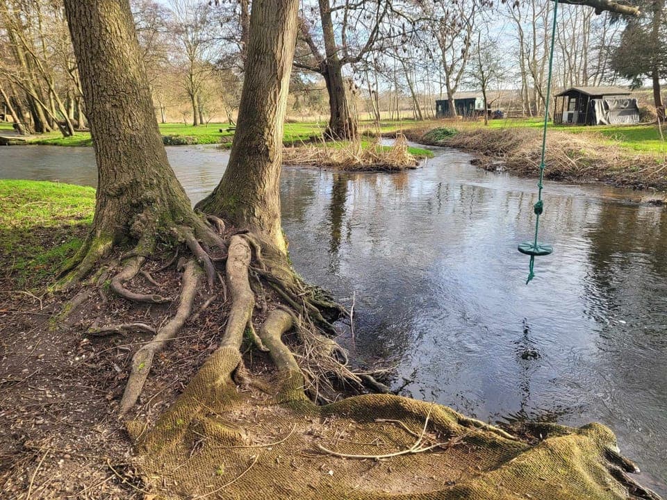 Cabin | Property grounds