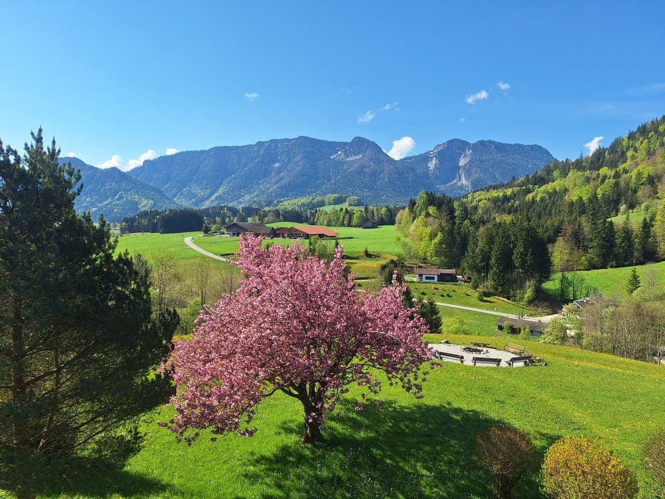 Suite, Balcony, Mountain View (Muenchen) | Garden view