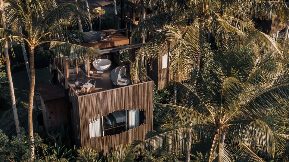 Canopy Suite | View from room