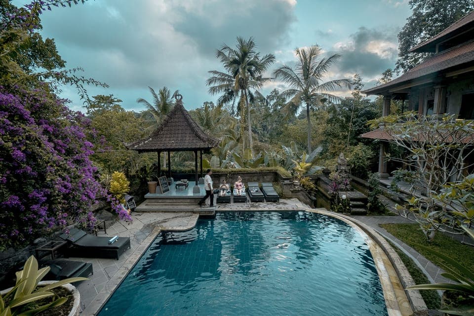 Outdoor pool, sun loungers