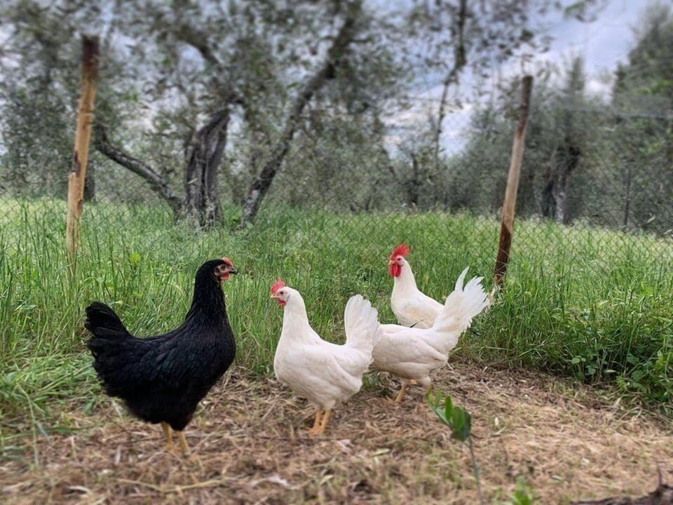 Children's activities