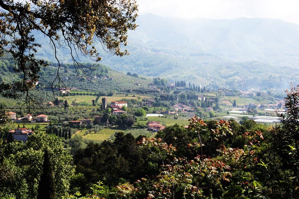 Land view from property