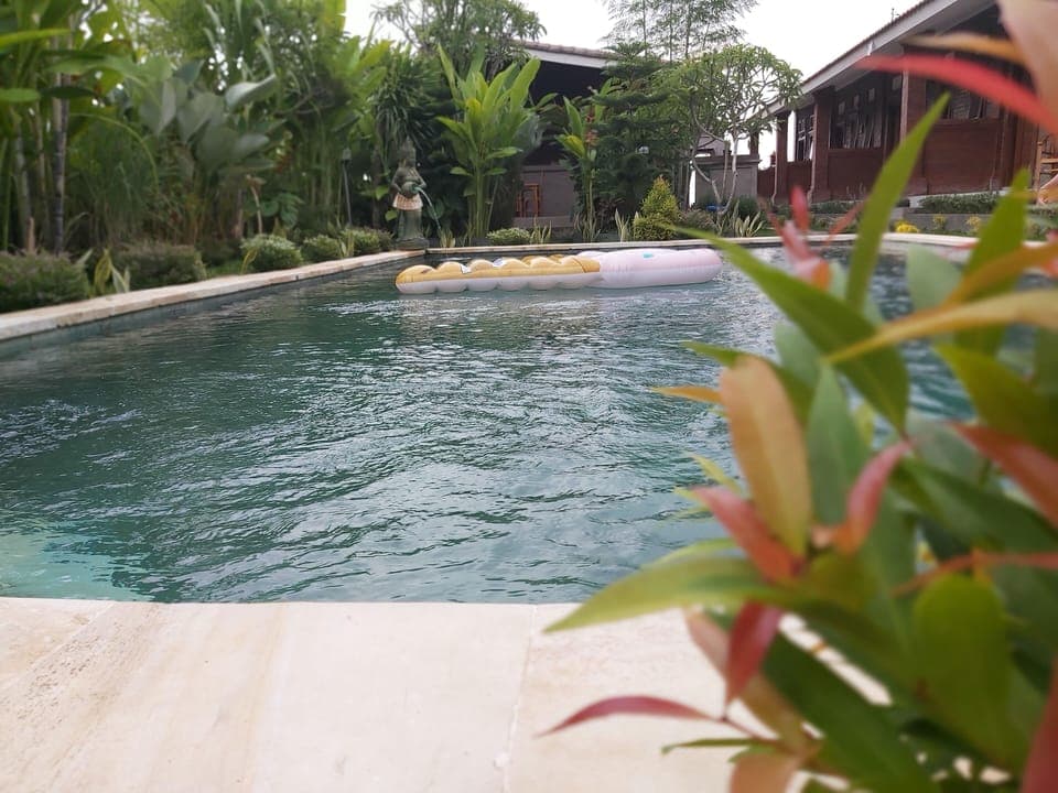 Outdoor pool, pool umbrellas, sun loungers