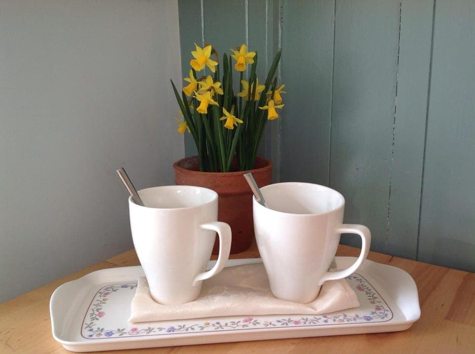 Mini-fridge, microwave, electric kettle, toaster