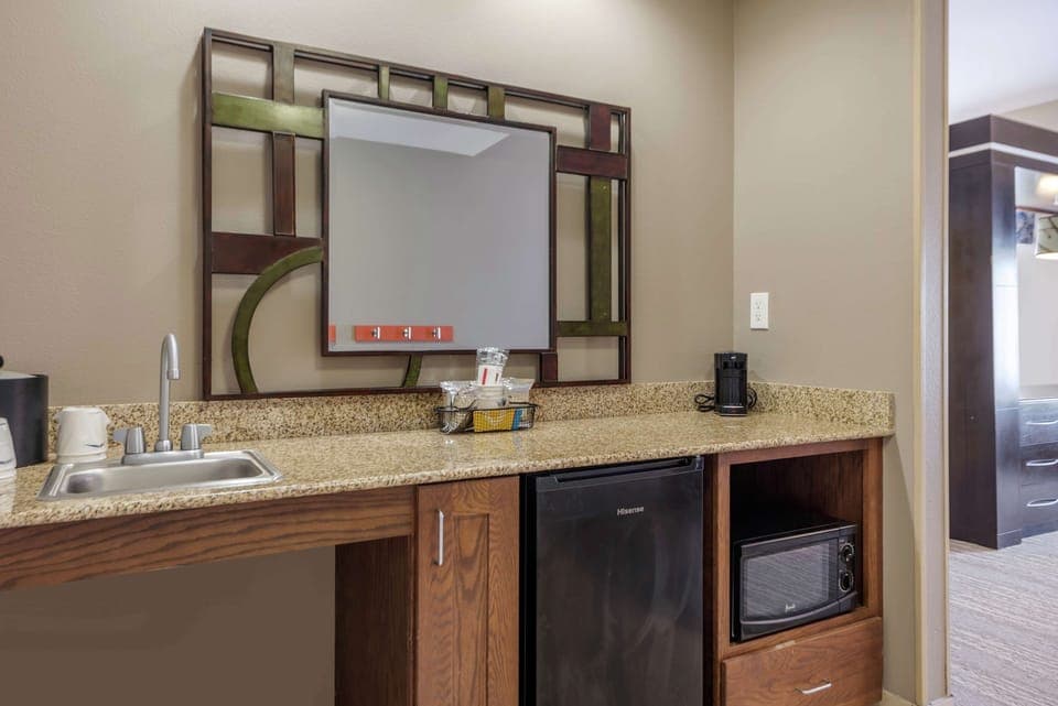 Studio, Accessible, Non Smoking | Minibar