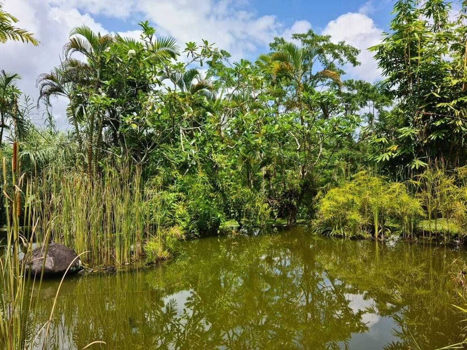 The Nature Suite | 1 bedroom, premium bedding, down comforters, minibar