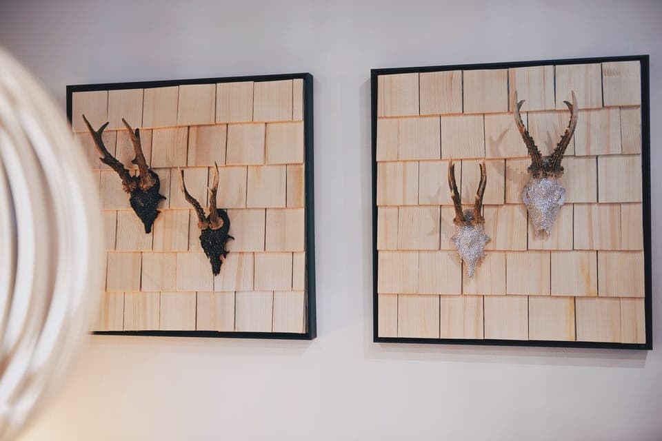 Dinner served, Regional cuisine