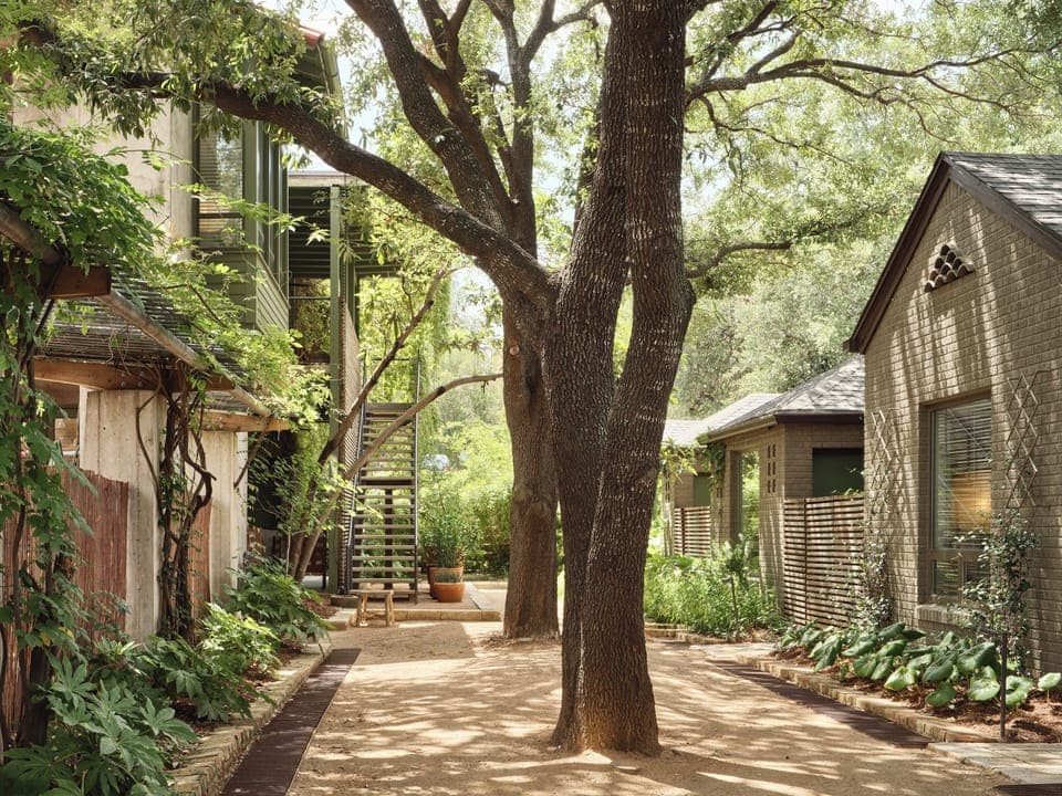 Outdoor wedding area