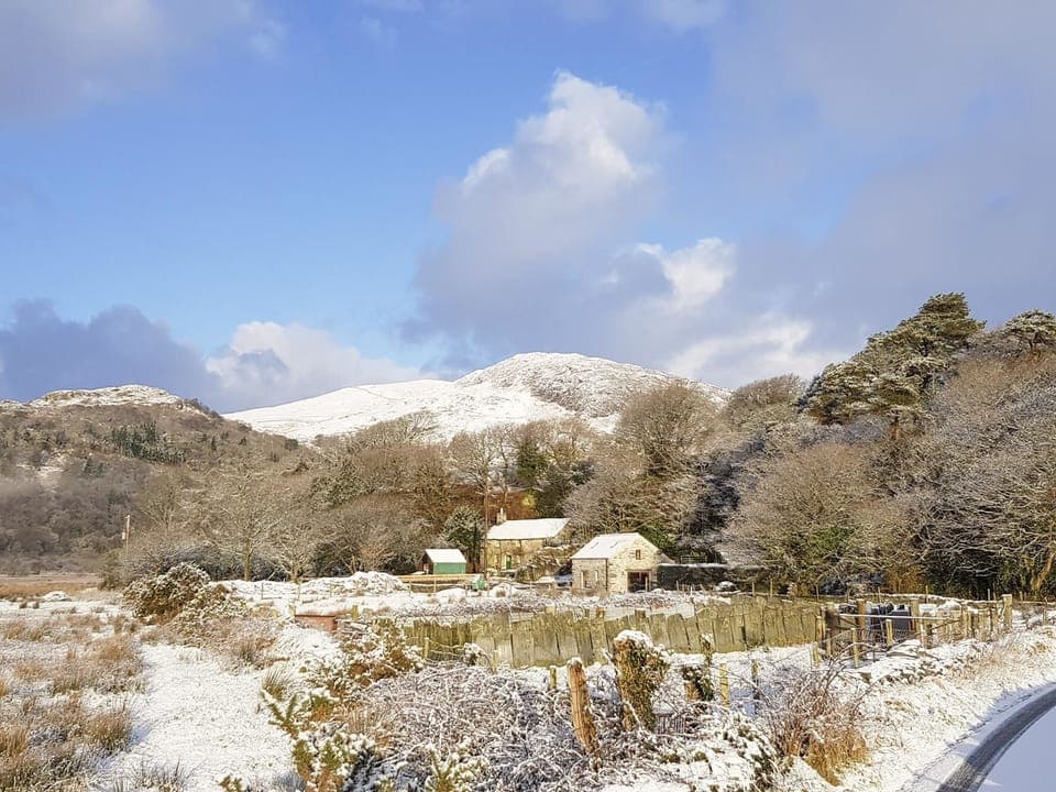 Cottage | Property grounds