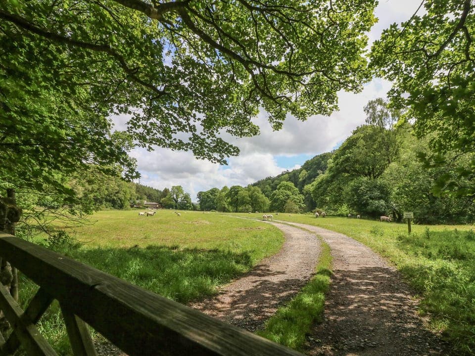 Cottage | Property grounds