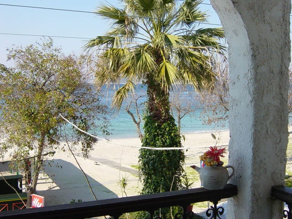 Superior Studio, Sea View | View from room