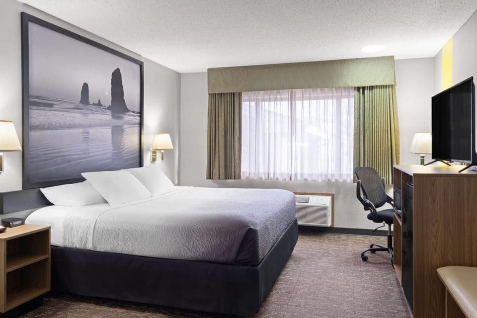 Room, 1 King Bed, Non Smoking | Hypo-allergenic bedding, desk, cribs/infant beds, rollaway beds