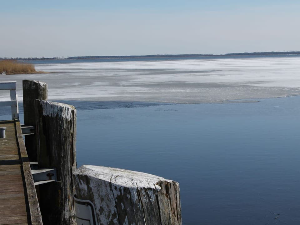 Apartment | View from property