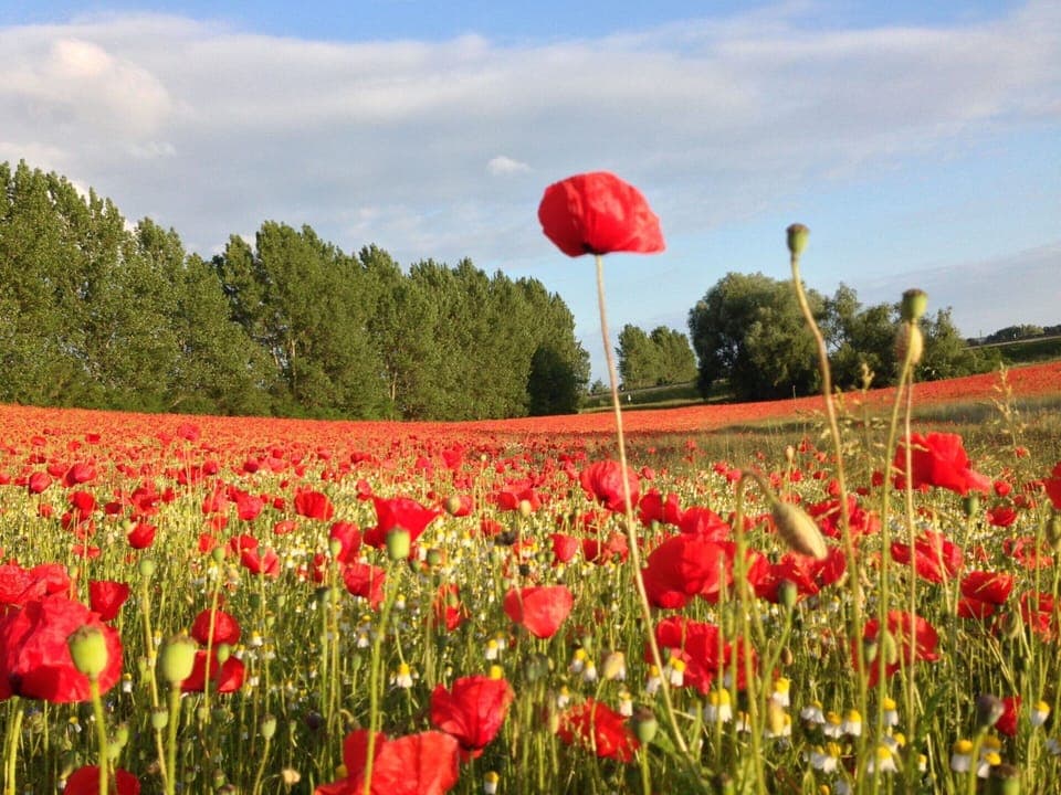 Apartment | View from property