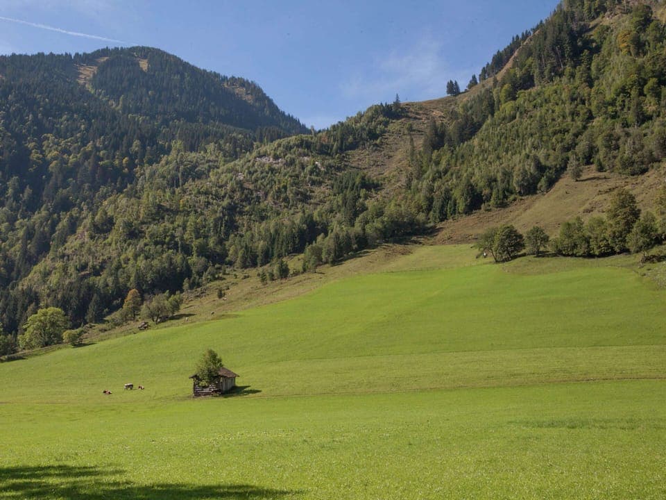 House | View from property