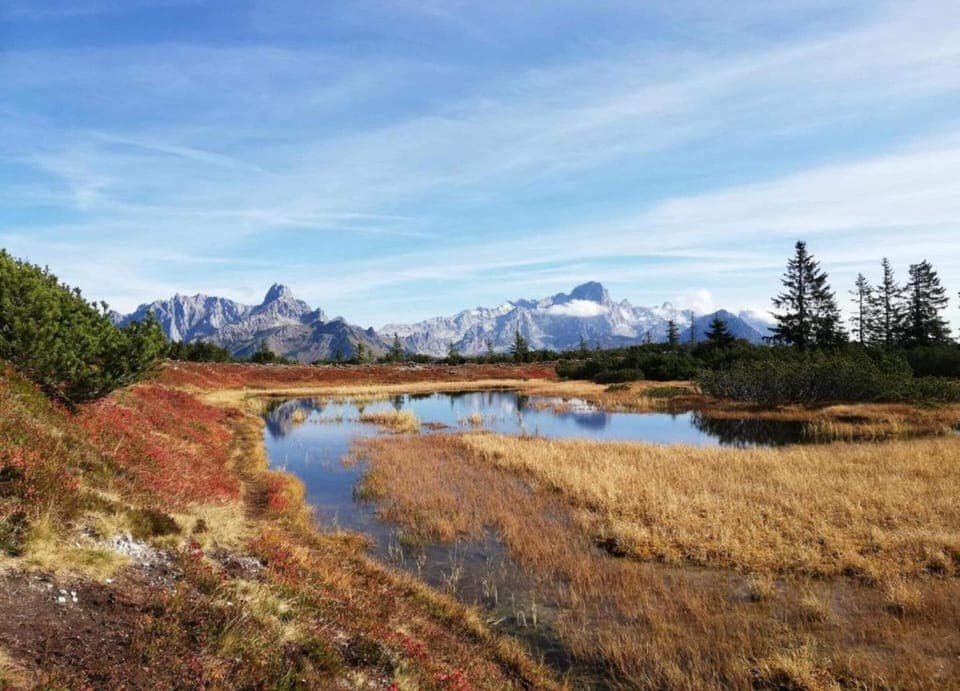 Apartment | View from property