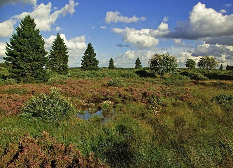 House | View from property