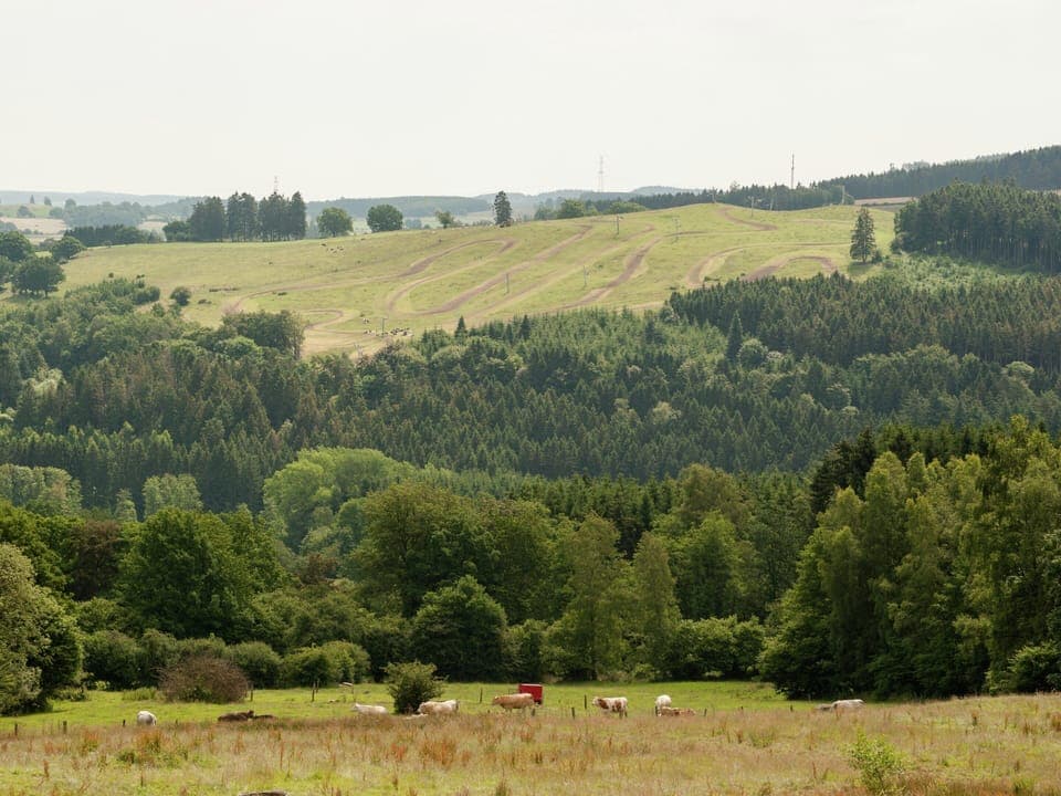 Cottage | View from property