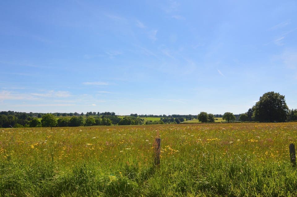 House | View from property