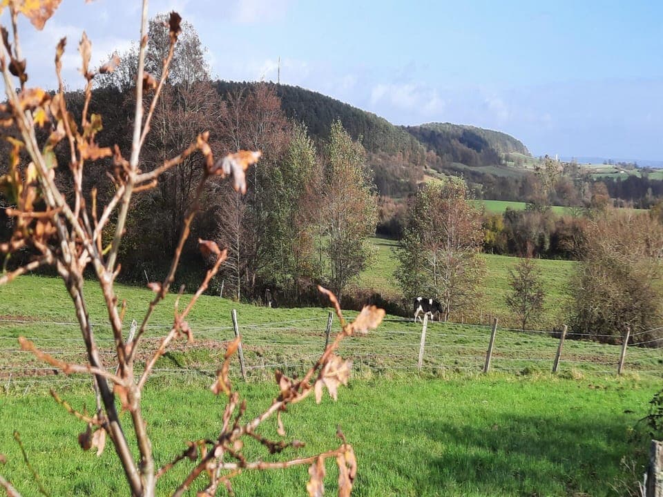 House | View from property