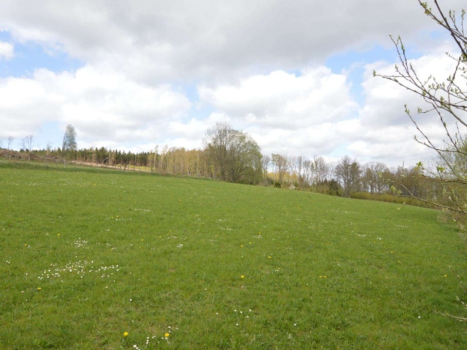 House | View from property