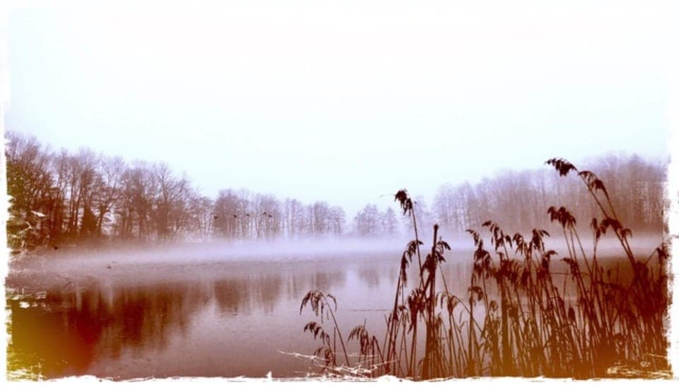 Apartment | View from property