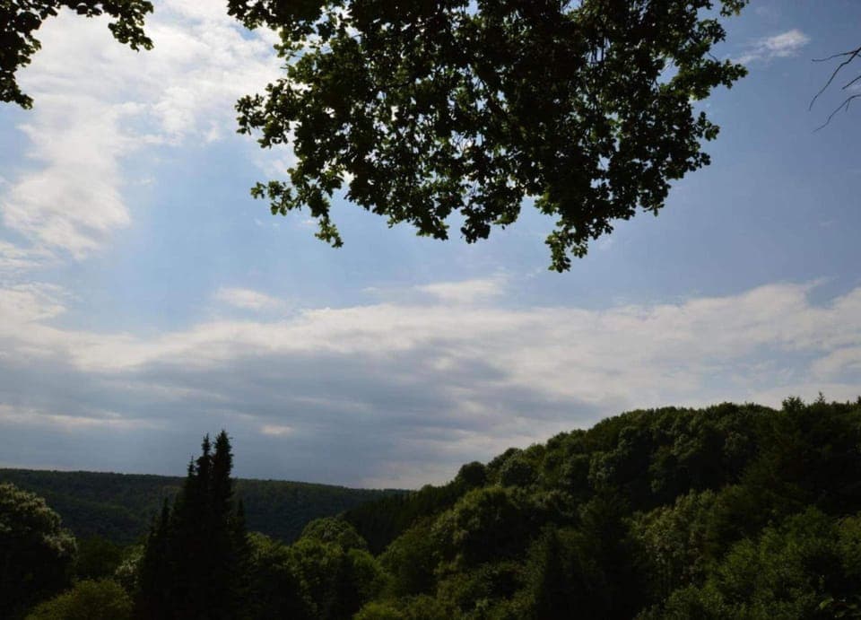 House | View from property