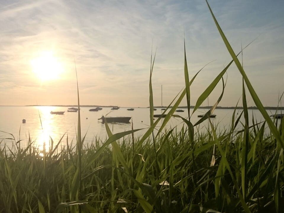 House | View from property