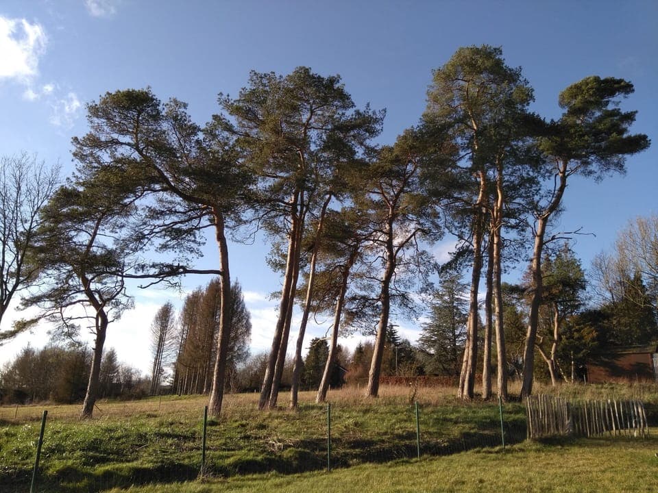 House | View from property