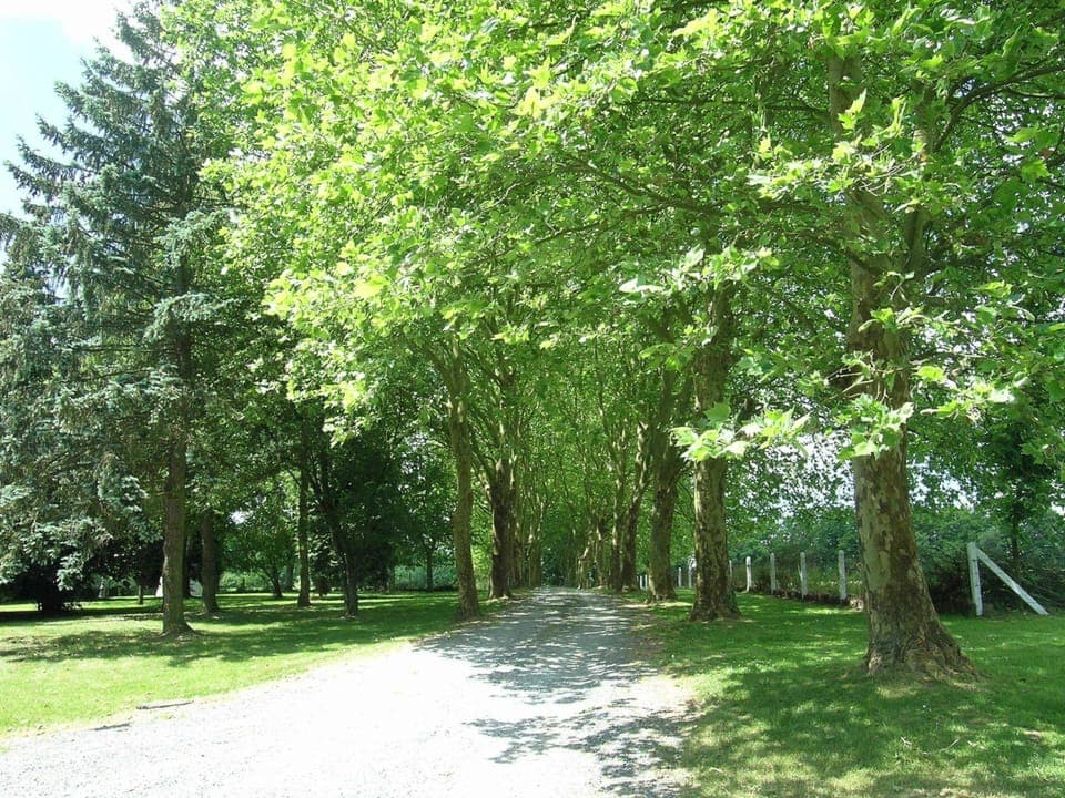 Apartment | View from property