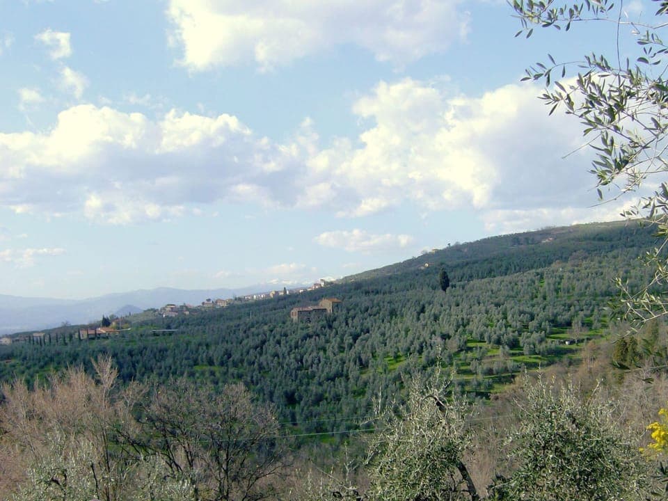 House | View from property