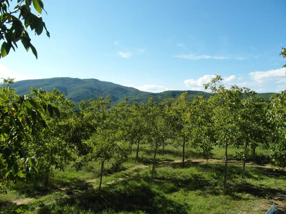 House | View from property