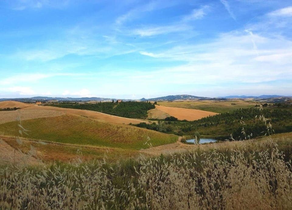 Apartment | View from property