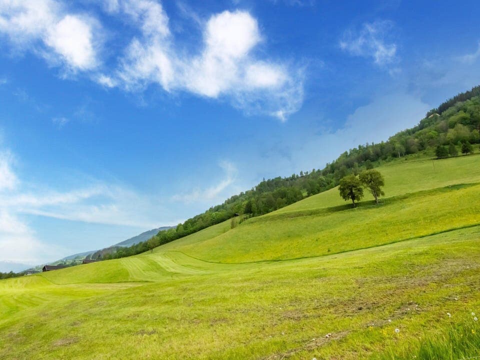 House | View from property