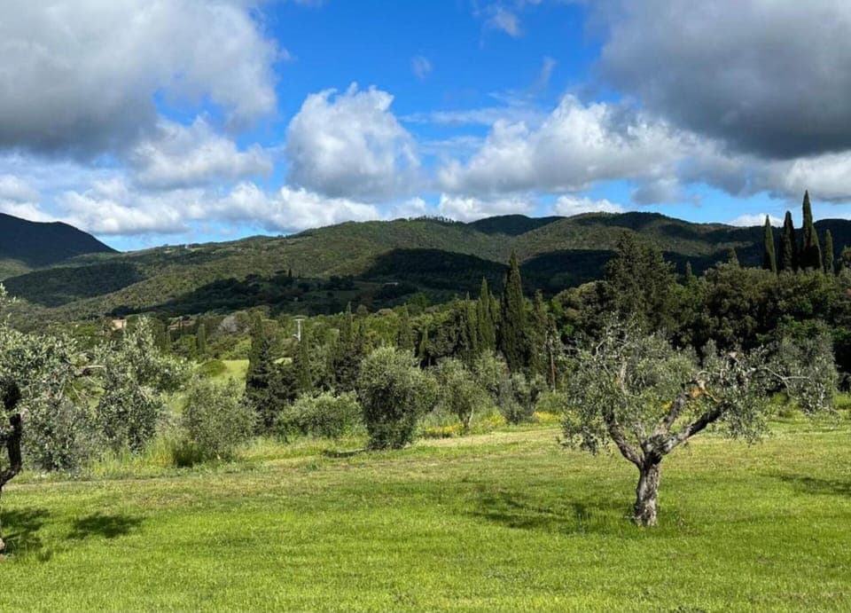 House | View from property