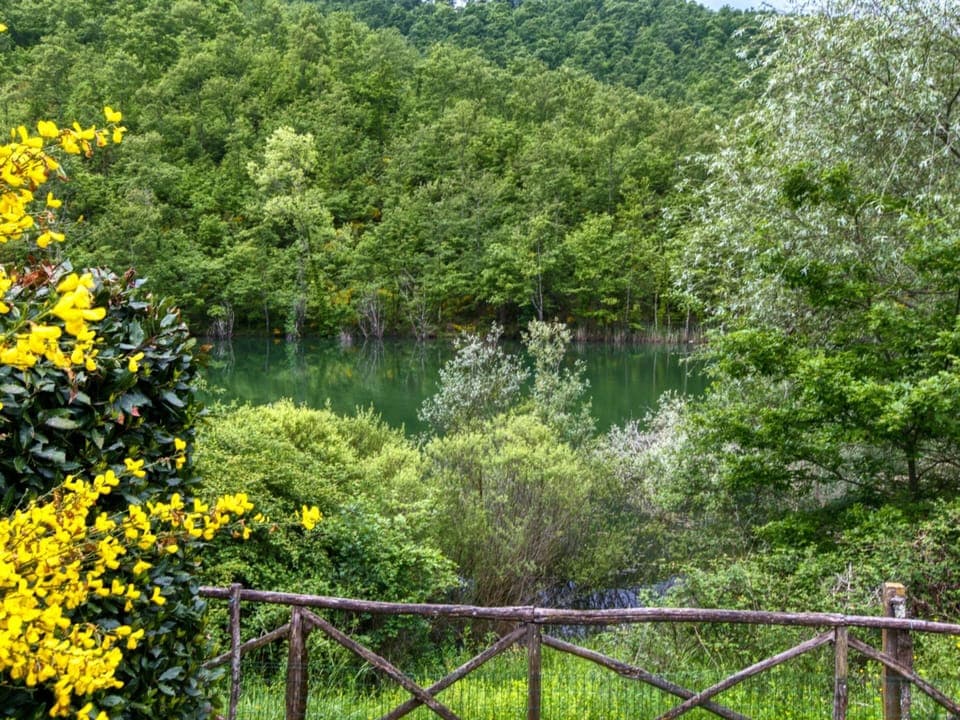 Cottage | View from property