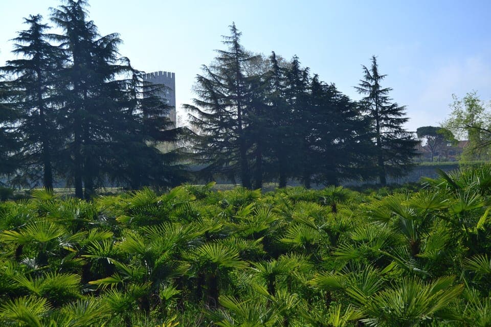 Cottage | Interior detail