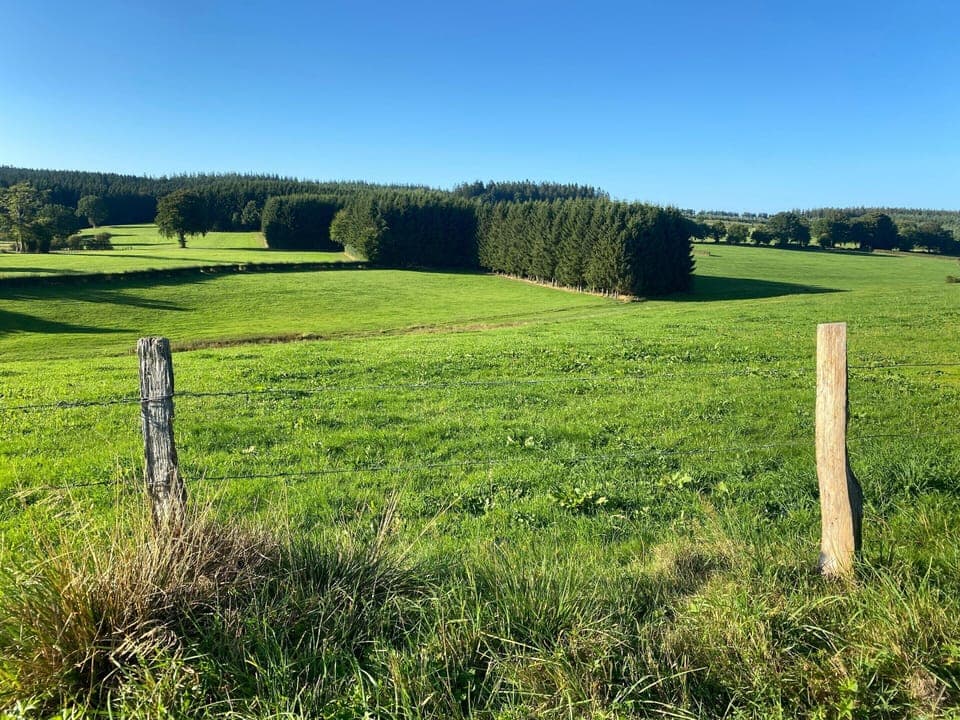 Apartment | View from property