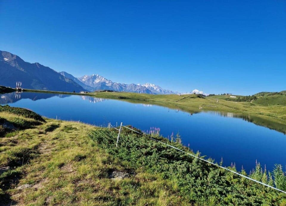 House | Interior detail